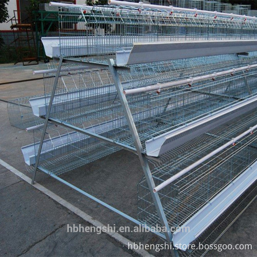 Welded wire mesh cage/chicken cage/chicken farm